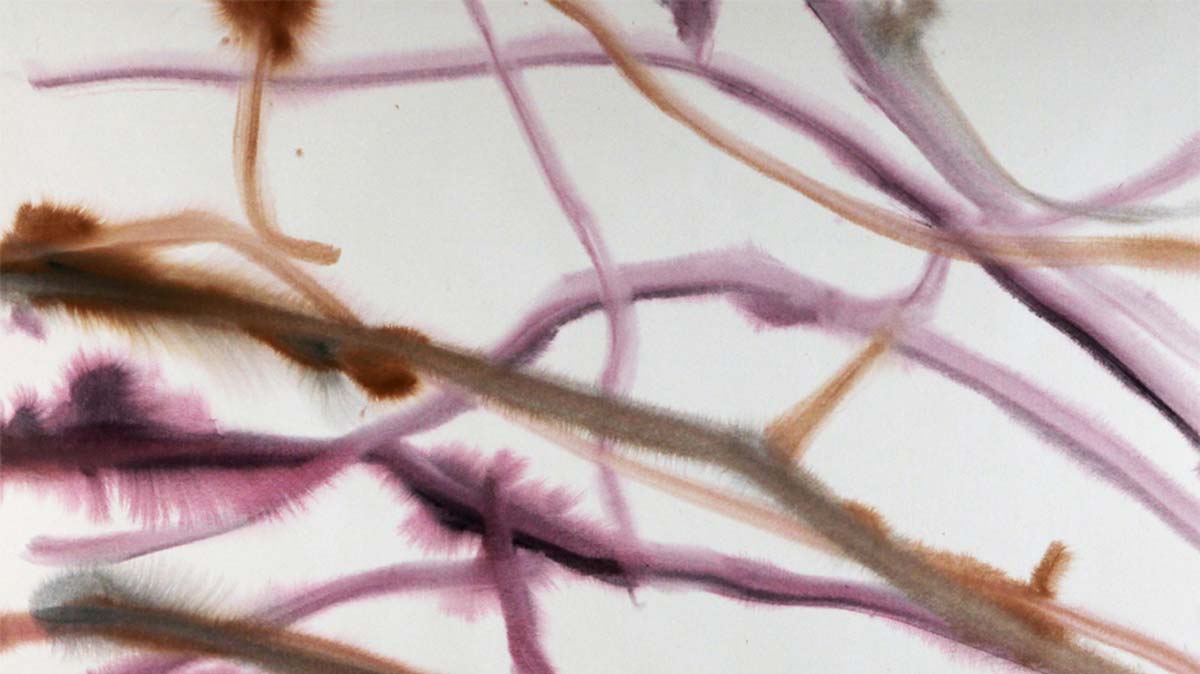 puma fenty bow mens 2013